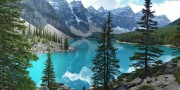 World短跑科研联盟成果交流：训练模型推广到基层（混用英语）