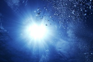 世界体操单项赛新星签约国内俱乐部，世界体操2021