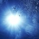 世界体操单项赛新星签约国内俱乐部，世界体操2021